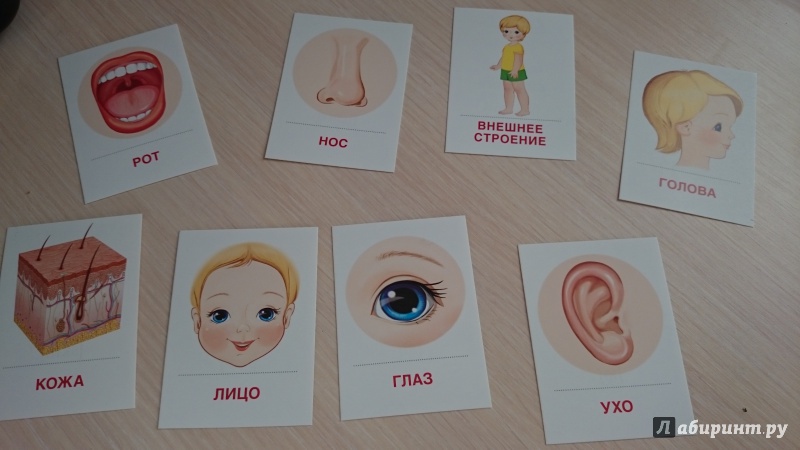 Описание: https://img.labirint.ru/rcimg/ff38396d4007bd700315974c7480a2e1/1920x1080/comments_pic/1705/0_5f741187686d52692a1e31b923fa9880_1486019838.jpg?1486019981